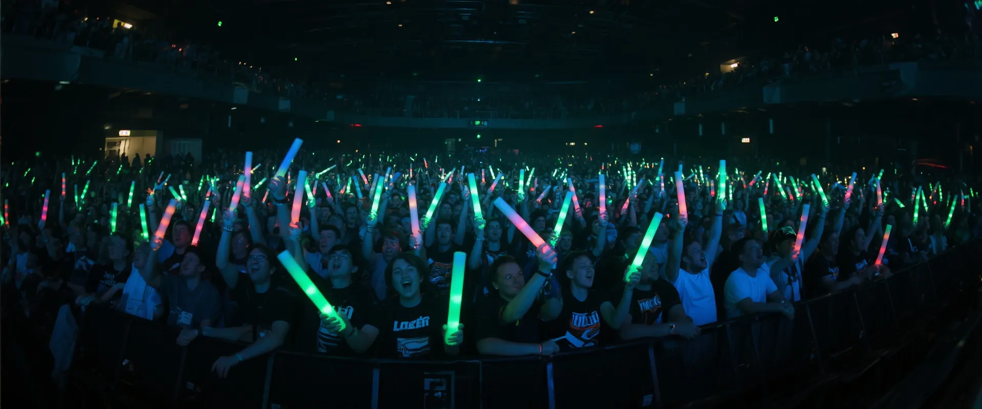 狂热的电竞观众